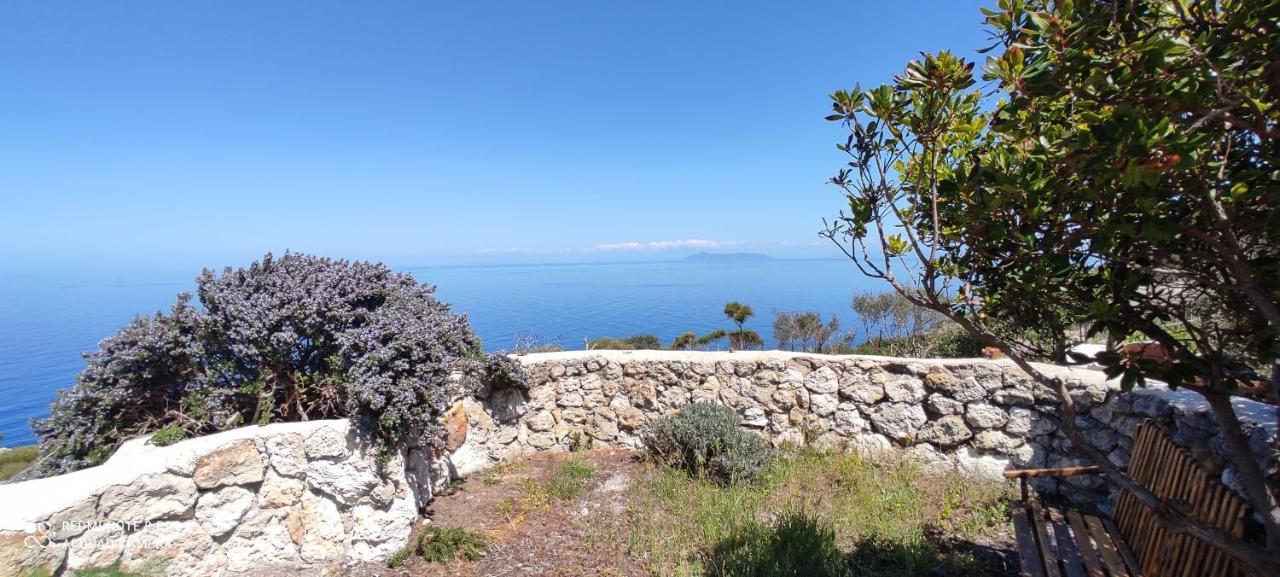 Il Cigno Affittacamere Bed & Breakfast Ponza Buitenkant foto