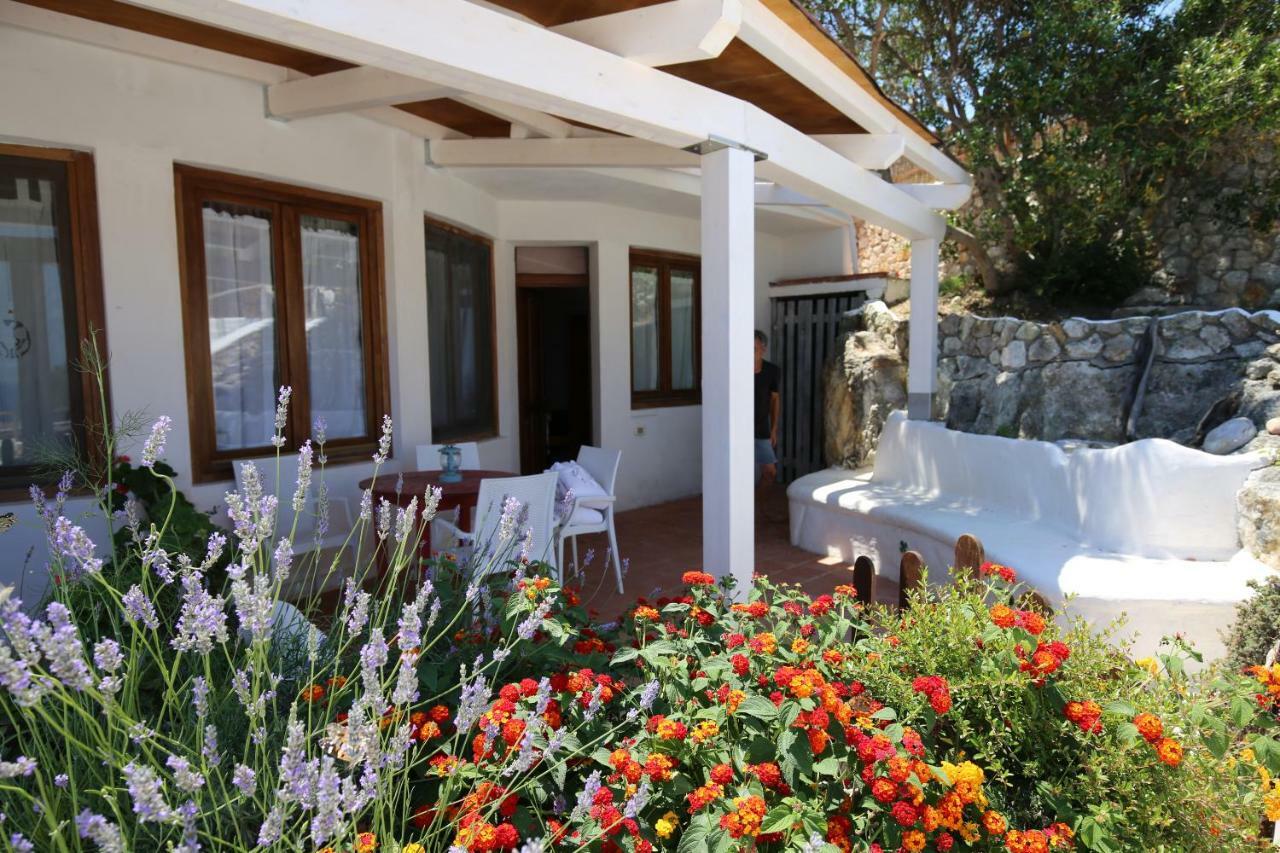Il Cigno Affittacamere Bed & Breakfast Ponza Buitenkant foto